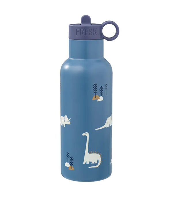 בקבוק/תרמוס 500 מ״ל – דינוזאורים