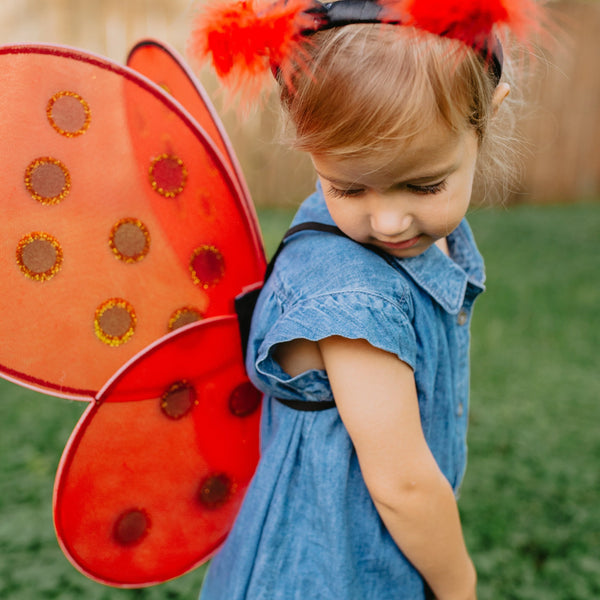 Ladybug Wings & Headband