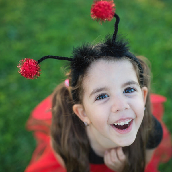 Glitter Ladybug fairy set