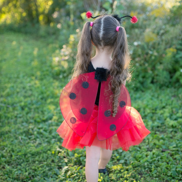 Glitter Ladybug fairy set