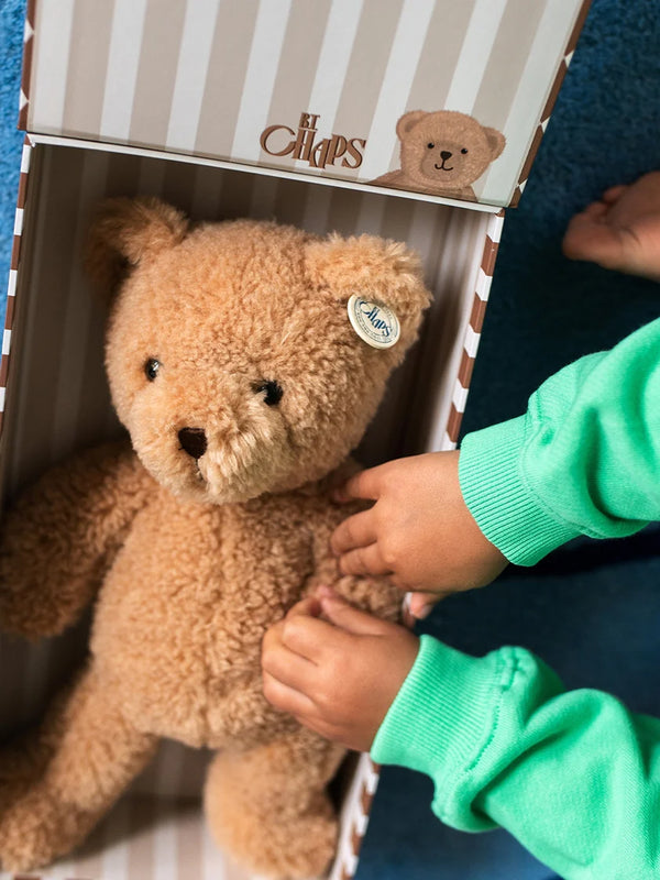 GUS THE HOMIE BEAR IN GIFTBOX