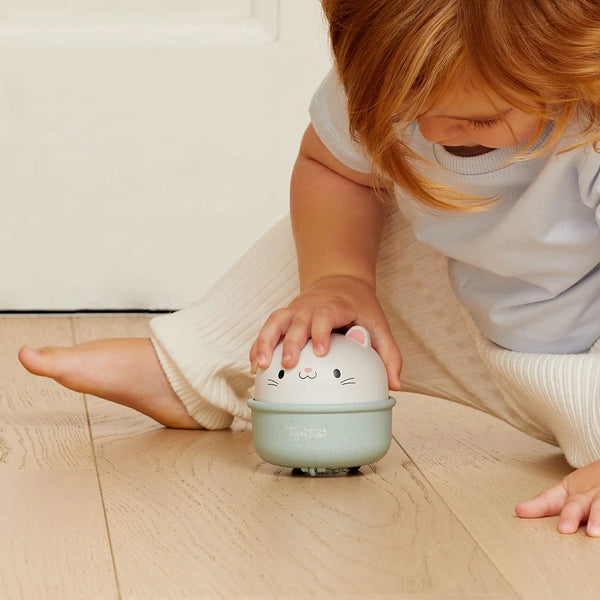 חתול מתנדנד ונוסע