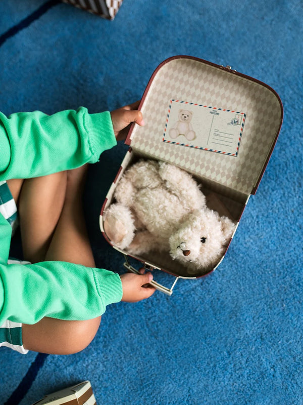 FREDERICK THE TRAVELLER BEAR IN SUITCASE