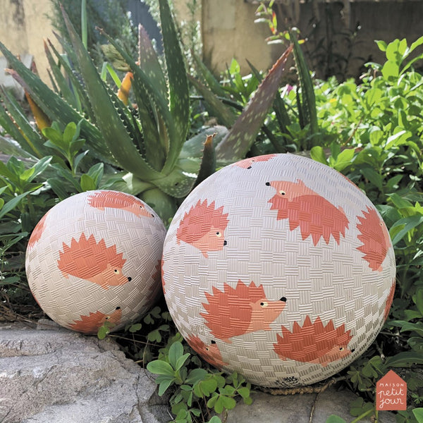 כדור גומי קטן קיפודים