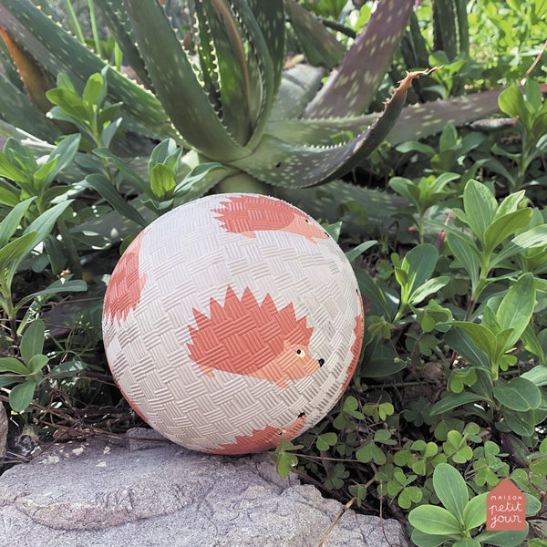 כדור גומי קטן קיפודים