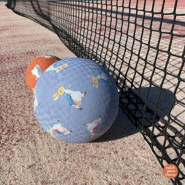 כדור גומי קטן פיטר הארנב